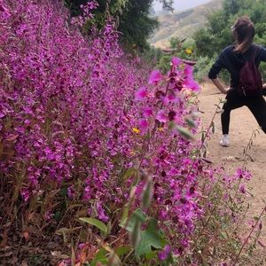 Meet your Posher, Brooklynn